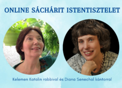 Thumbnail image for SZIM SALOM A JUDAFEST-EN