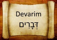 Thumbnail image for DEVARIM